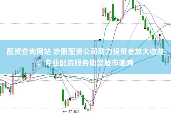 配资查询网站 炒股配资公司助力投资者放大收益,专业配资服务助您股市驰骋