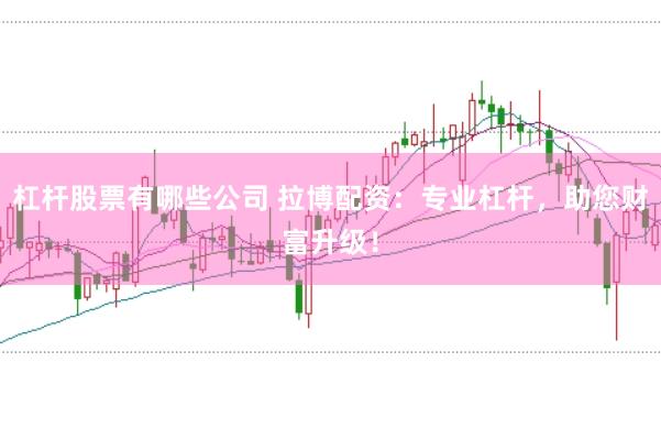 杠杆股票有哪些公司 拉博配资：专业杠杆，助您财富升级！