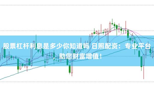 股票杠杆利息是多少你知道吗 日照配资：专业平台，助您财富增值！