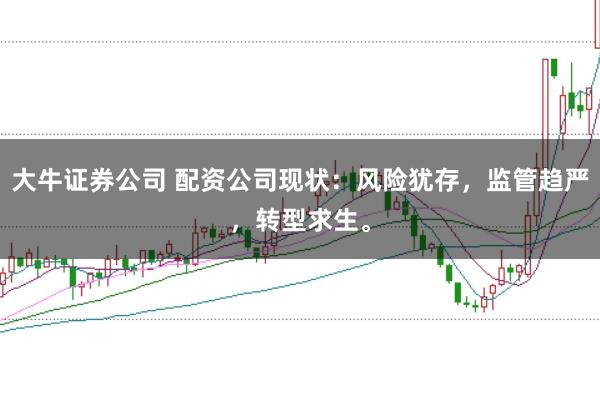 大牛证券公司 配资公司现状：风险犹存，监管趋严，转型求生。