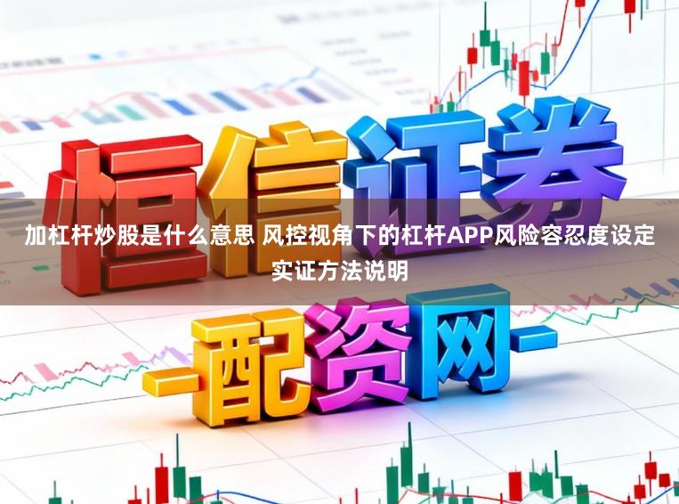 加杠杆炒股是什么意思 风控视角下的杠杆APP风险容忍度设定实证方法说明