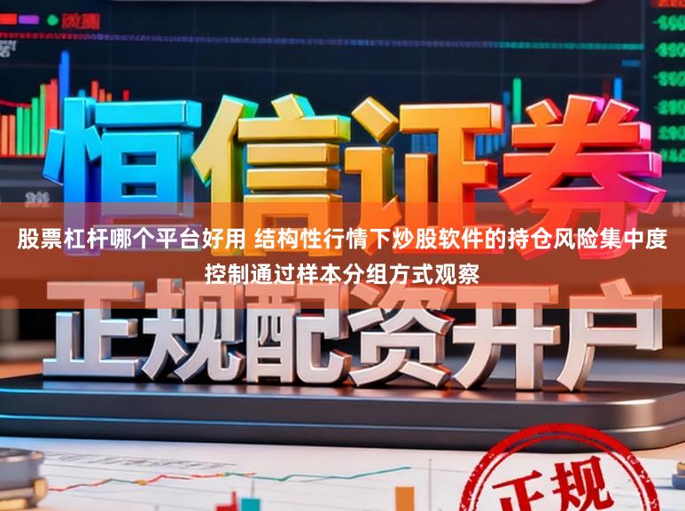 股票杠杆哪个平台好用 结构性行情下炒股软件的持仓风险集中度控制通过样本分组方式观察