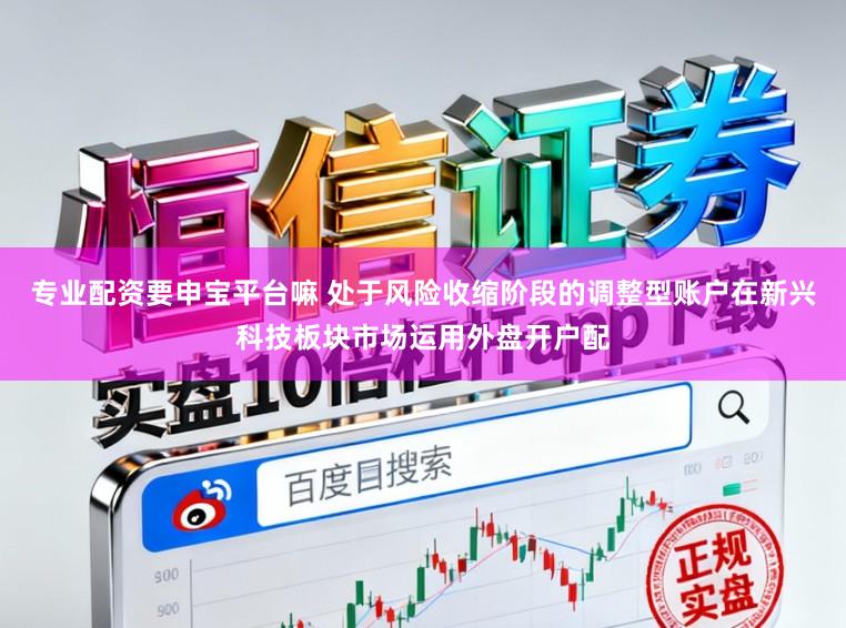 专业配资要申宝平台嘛 处于风险收缩阶段的调整型账户在新兴科技板块市场运用外盘开户配