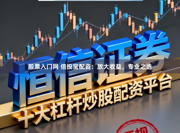 股票入门网 倍投宝配资：放大收益，专业之选